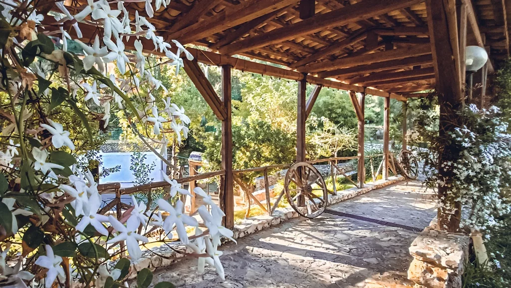 img20250411090350 1536x865 img20250411090350 1536x865